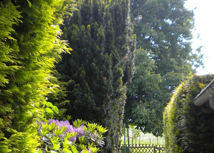 North Sea Dike Modern Retreat Sehestedt (Lower-Saxony)